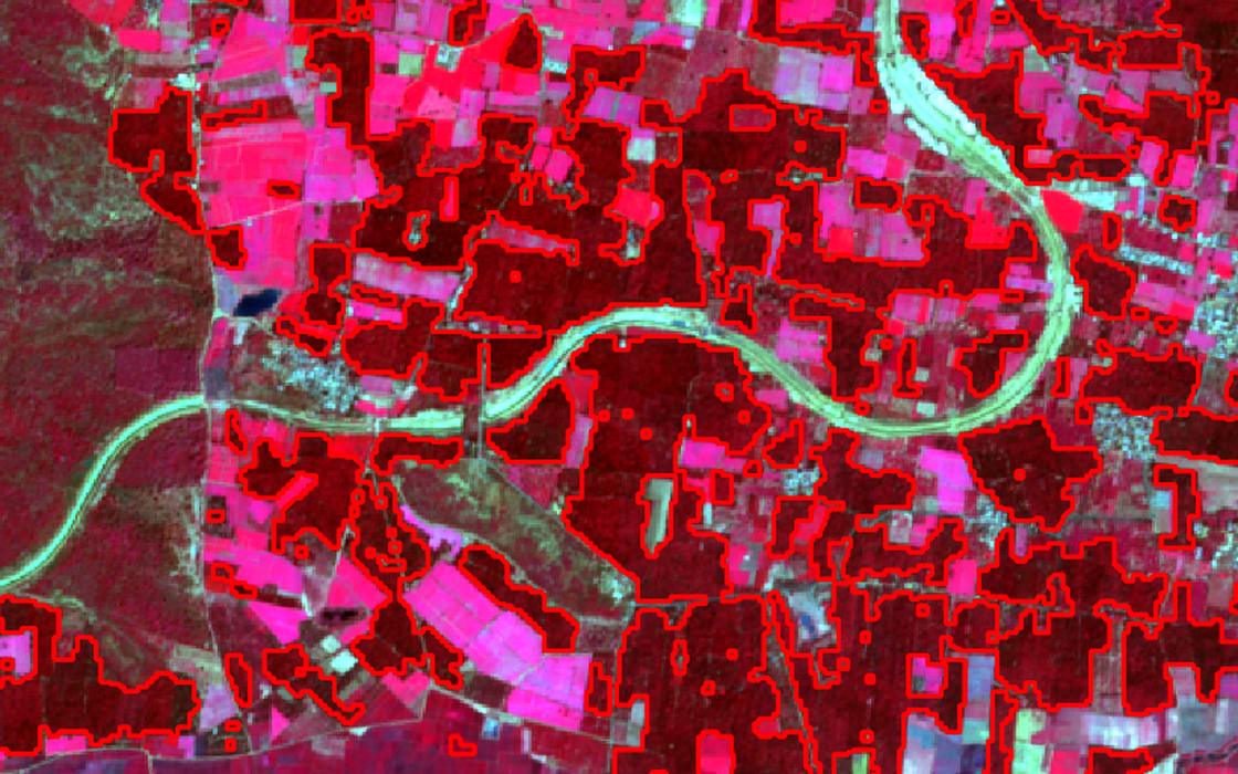 Classified palm tree polygon boundaries over a false colour satellite composite