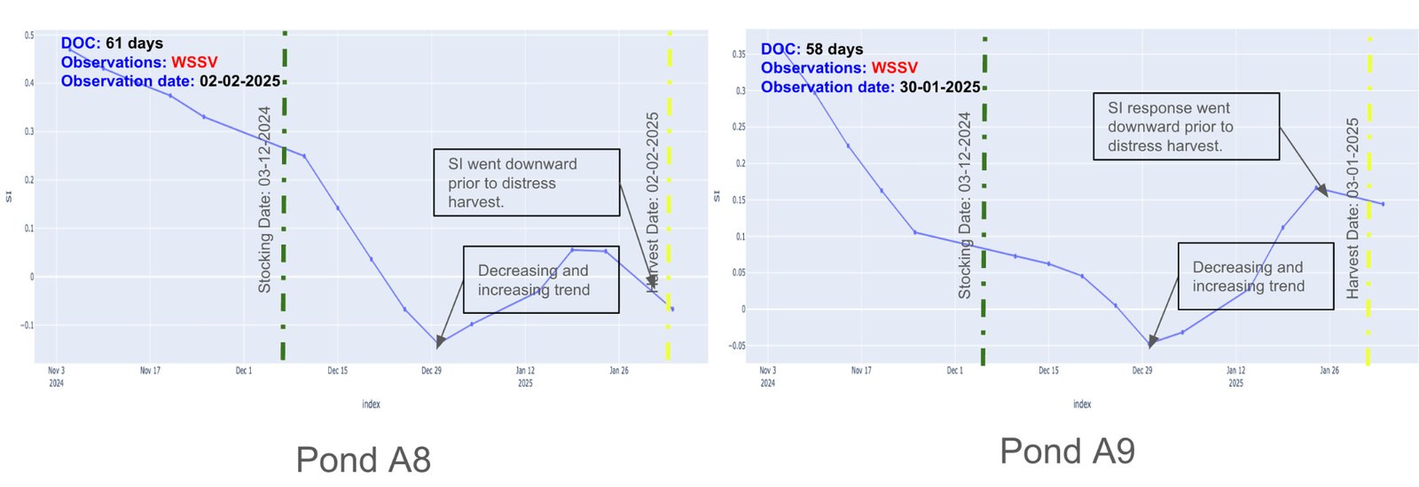 Second time series plot of Shrimp Index for an unhealthy pond